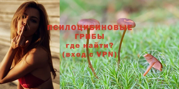 амф Алексин