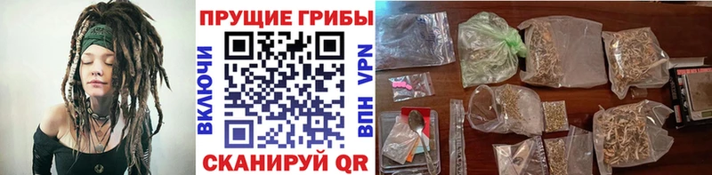 Галлюциногенные грибы мицелий  Александровск 